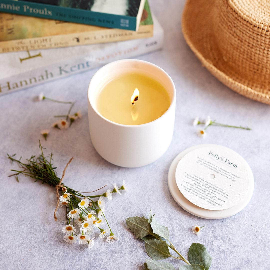 Fragrance-Free Botanical Candle-Botanical Candle-Polly's Farm-White-Pollys Farm