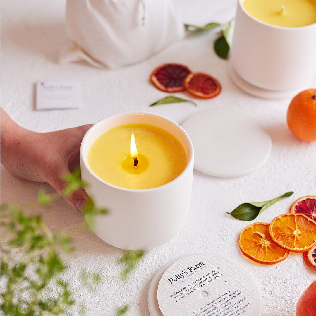 Kusaki Plant Dye Candle Set