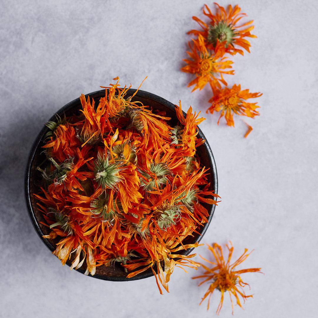 Organic Calendula & Shea Butter Skin Salve-Skin Salves-Polly's Farm-Pollys Farm