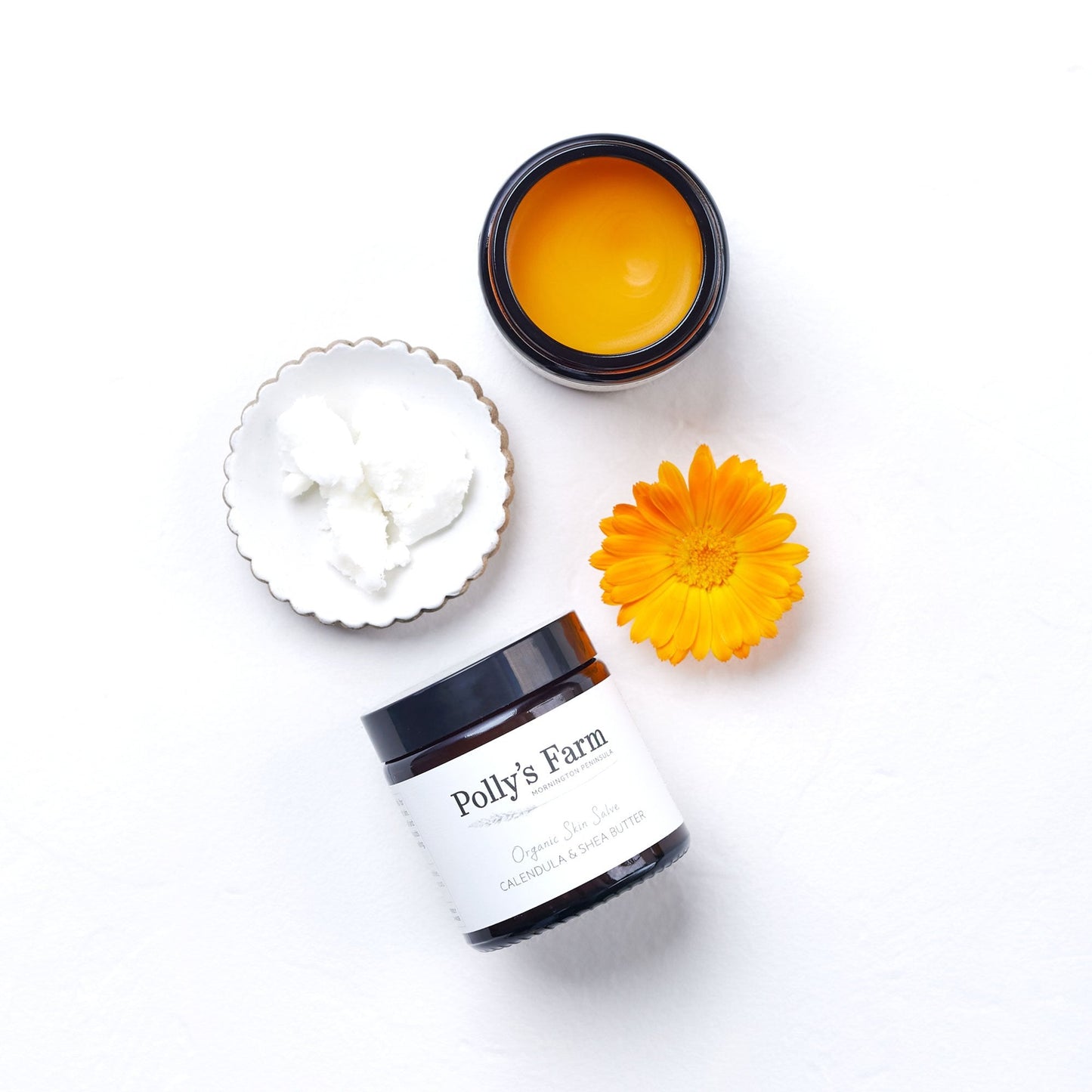 Organic Calendula & Shea Butter Skin Salve-Skin Salves-Polly's Farm-Pollys Farm