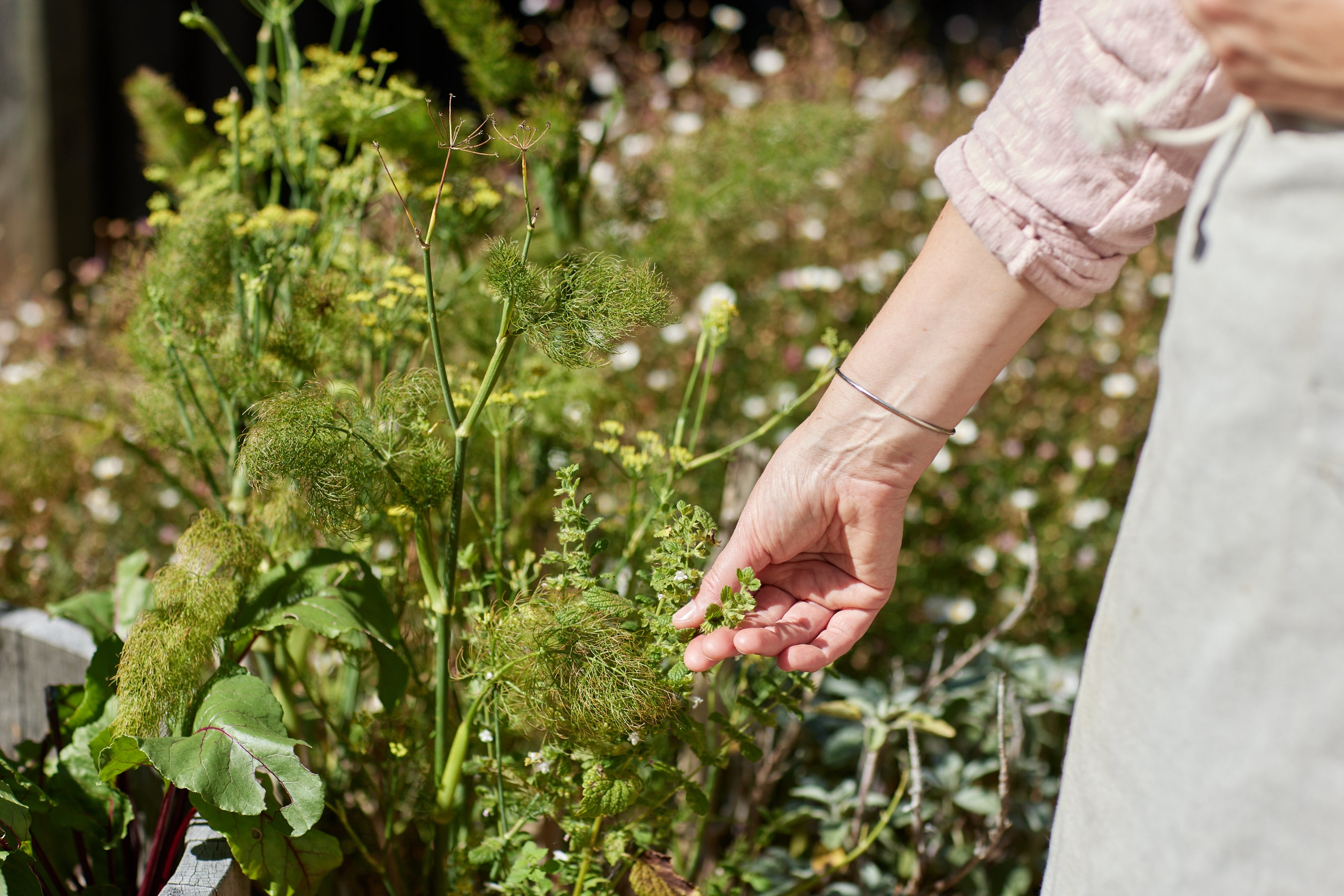 willowcreative_PollysFarm_FEB23_LR1S4A2529-Pollys Farm_Natural Botanical Skincare_Mornington Peninsula